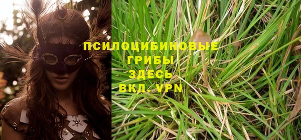 тгк Покров