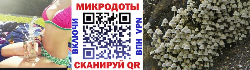 Псилоцибиновые грибы прущие грибы  Вышний Волочёк 